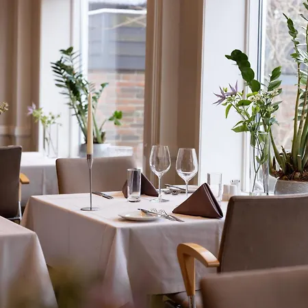 弗雷德里克六世酒店 4* 欧登塞