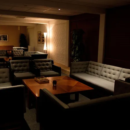 酒店 弗雷德里克六世酒店 欧登塞