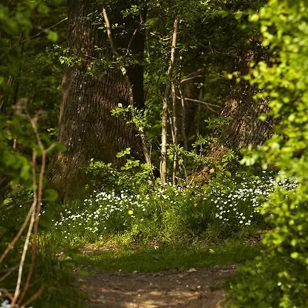 酒店 弗雷德里克六世酒店