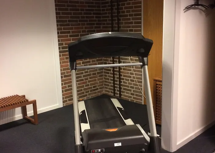 Frederik Vi's Odense