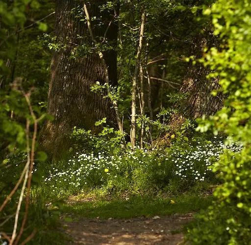 Hotell Frederik Vi's